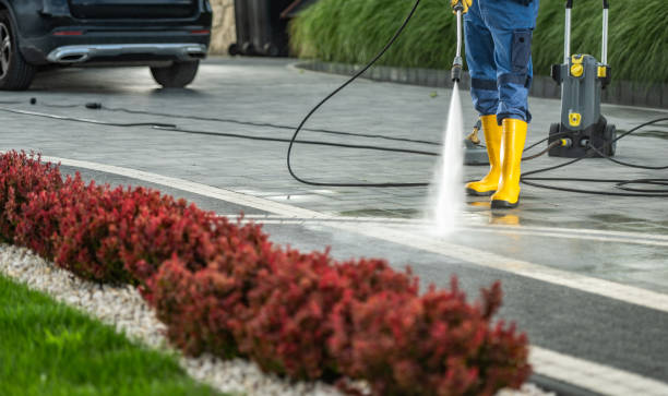 Professional Pressure Washing Services in Tropical Park, FL